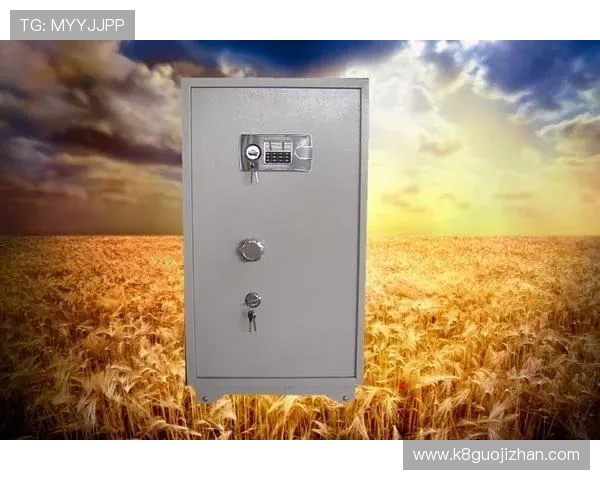 K8凯发真人手机版如何保障玩家资金安全与隐私保护措施